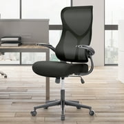 Ergonomic Office Chair, Home Desk Chairs with Lumbar Support, Executive Computer Chair with Flip-up Arms, Height Adjustable High Back Swivel Rolling Chair, Black