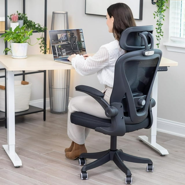 Ergo Fit Ergonomic Mesh Office Chair High Back Adjustable