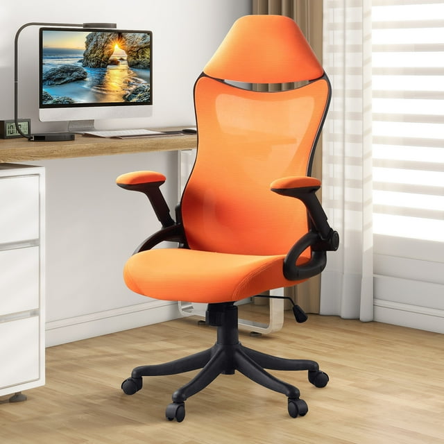 Ergonomic Office Chair with Adjustable Lumbar Support and Flipup Arms