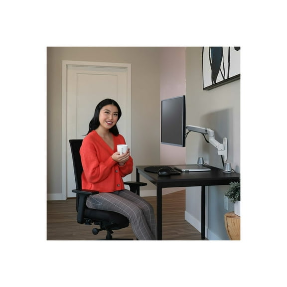 Ergotron Mounting Arm for LCD Display Bright White 45243216