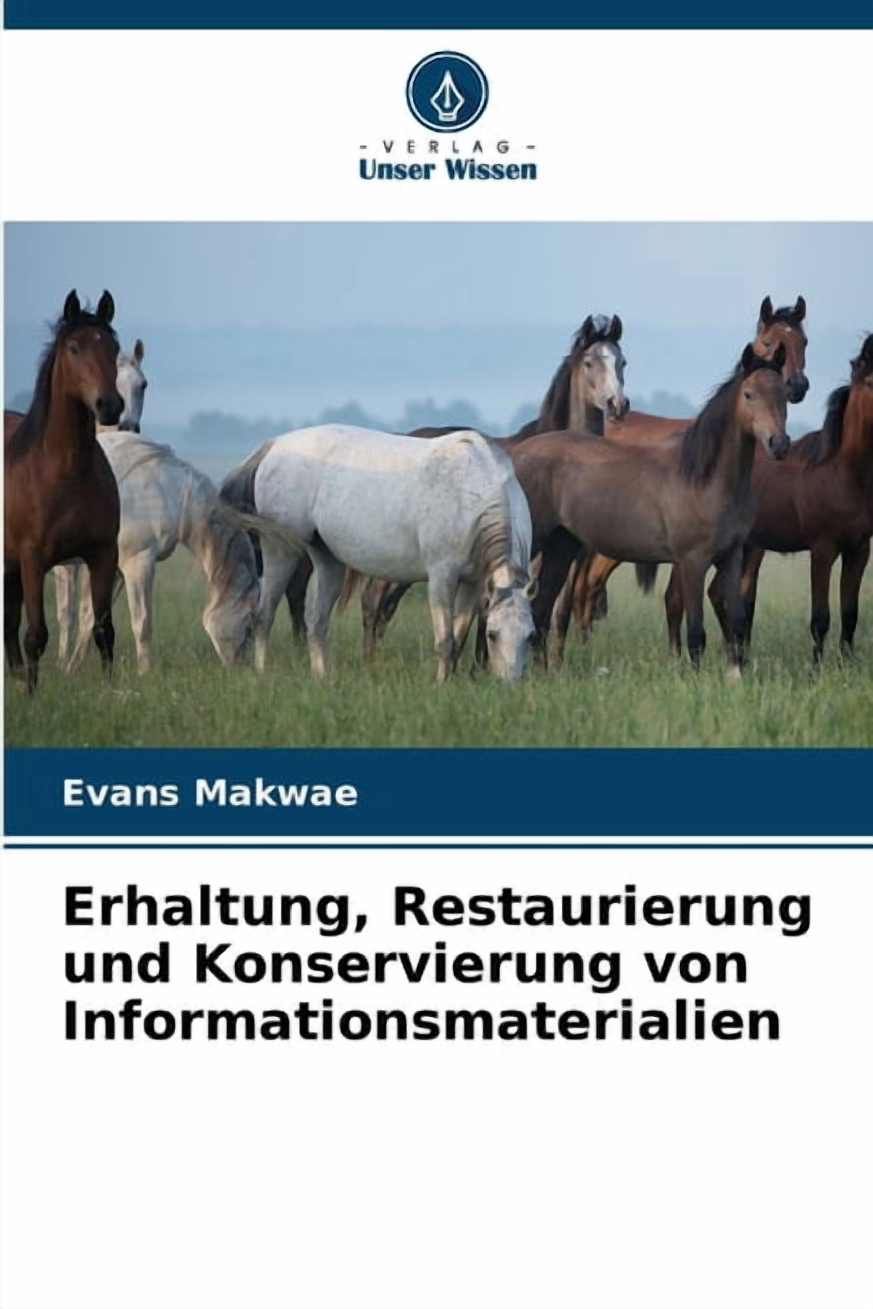 Erhaltung, Restaurierung und Konservierung von Informationsmaterialien, (Paperback)