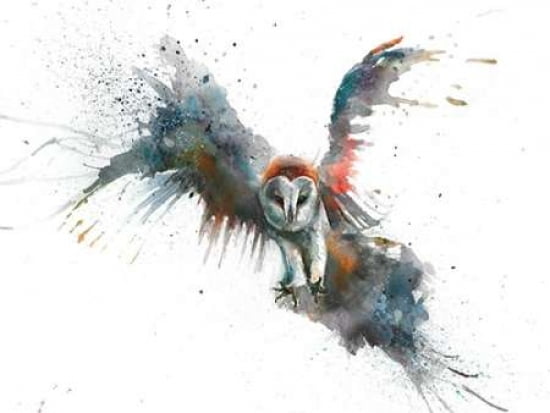 Eric In Flight Canvas Art - Sarah Stokes (18 x 24)
