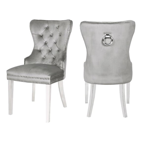 Erica 2 Piece Stainless Steel Legs Chair Finish with Velvet Fabric in Light Gray