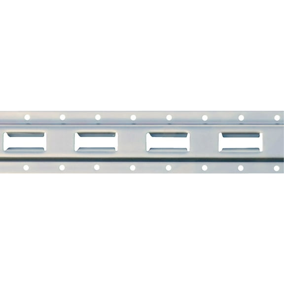Erickson E-Track Vertical Rail 19146 - 6000 Lbs Load Capacity - 4 Ft, Silver
