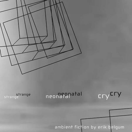 Erik Belgum - Strange Neonatal Cry: Ambient Fiction - Music & Performance - CD