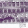thumbnail image 1 of Erik Griswold - Yokohama Flowers - Music & Performance - CD, 1 of 1