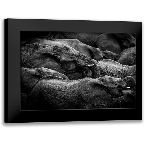 Eriksson, Denise 14x11 Black Modern Framed Museum Art Print Titled - Elephant Herd