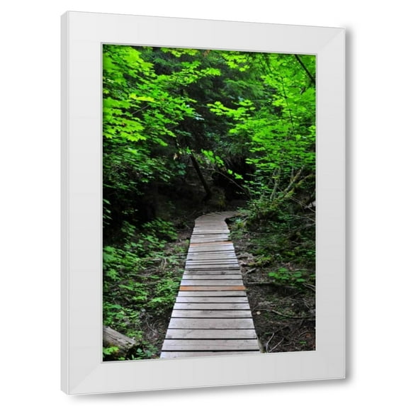 Erin Berzel 11x14 White Modern Wood Framed Wall Art Titled - Afternoon Hike I