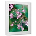 thumbnail image 1 of Erin Berzel 11x14 White Modern Wood Framed Wall Art Titled - Delicate Begonia I, 1 of 5