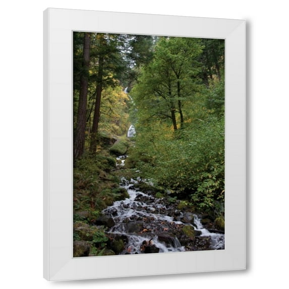 Erin Berzel 11x14 White Modern Wood Framed Wall Art Titled - Wahkeena Falls III