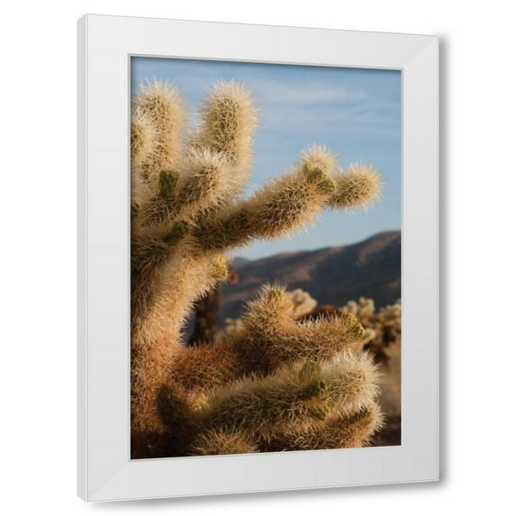 Erin Berzel 13x18 White Modern Wood Framed Wall Art Titled - Cholla Cactus I