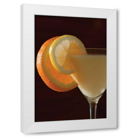 Erin Berzel 13x18 White Modern Wood Framed Wall Art Titled - Cocktail Hour III