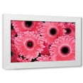 thumbnail image 1 of Erin Berzel 14x11 White Modern Wood Framed Wall Art Titled - Pink Gerbera Daisies III, 1 of 5