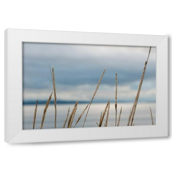 Erin Berzel 14x11 White Modern Wood Framed Wall Art Titled - Whidbey Grass I