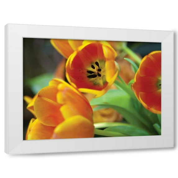 Erin Berzel 14x12 White Modern Wood Framed Wall Art Titled - Orange Tulips I