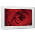 thumbnail image 1 of Erin Berzel 18x13 White Modern Wood Framed Wall Art Titled - Red Rose Detail, 1 of 5