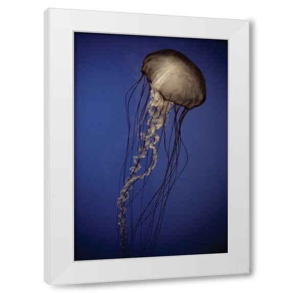 Erin Berzel 23x32 White Modern Wood Framed Wall Art Titled - In the Water II