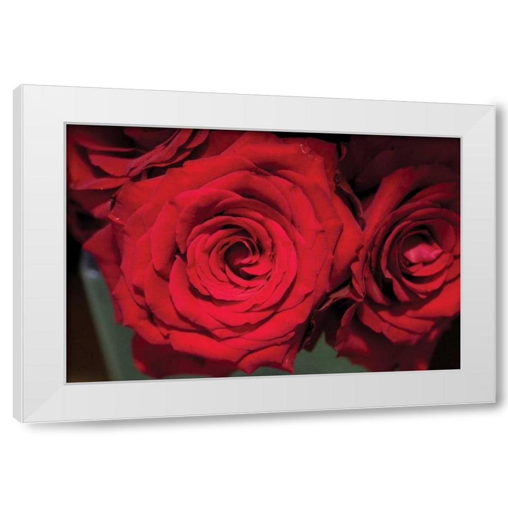 Erin Berzel 32x23 White Modern Wood Framed Wall Art Titled Red Roses