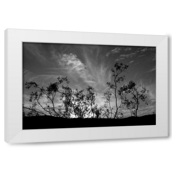 Erin Berzel 32x23 White Modern Wood Framed Wall Art Titled - Sunset Silhouette II