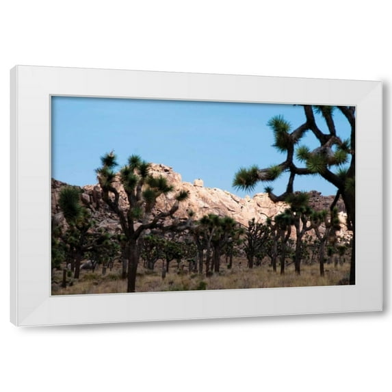 Erin Berzel 4x24 White Modern Wood Framed Wall Art Titled - Hidden Valley II