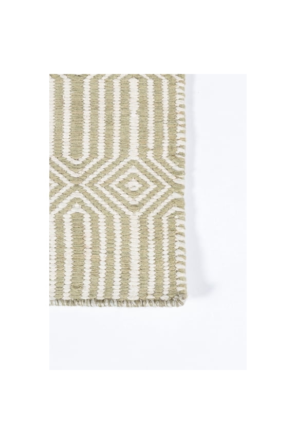 Newton Holden Green Hand Woven Indoor Outdoor Rug 2' X 3'