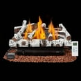 thumbnail image 1 of Erinnyees 27" Ventless Natural Gas Fireplace Log Set, 30,000 BTU, with Remote Control, Birch Wood, White, 1 of 8