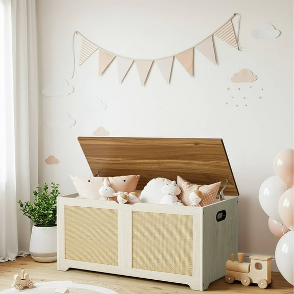 Erinnyees 39.4" Rattan Storage Chest, Storage Bench, Toy Chest, Shoe Bench, with Double Soft - Close Hinges, for Entryway, Bedroom, Living Room, Supports 300 lb