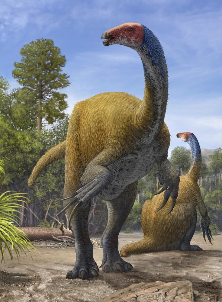 Erlikosaurus andrewsi dinosaurs in a prehistoric environment Canvas Art - Sergey KrasovskiyStocktrek Images (13 x 17)