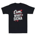 erm-what-the-sigma-funny-meme-brainrot-quote-vintage-men-s-short