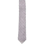 Ermenegildo Zegna Men's Md Prp Sld Paisley Italian Silk Necktie - One Size