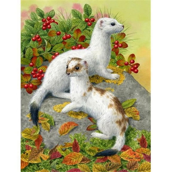 Ermine Stoat Short-Tailed Weasel Flag Canvas House Size