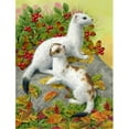 thumbnail image 1 of Ermine Stoat Short-Tailed Weasel Flag Garden Size, 1 of 1