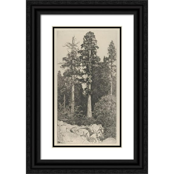 Ernest Haskell 10x14 Black Ornate Wood Framed Double Matted Museum Art Print Titled: Baby Sequoia (1915)