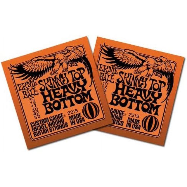 Ernie Ball Electric Guitar Strings SKINNY TOP HVY BTM Nickel Wound 10
