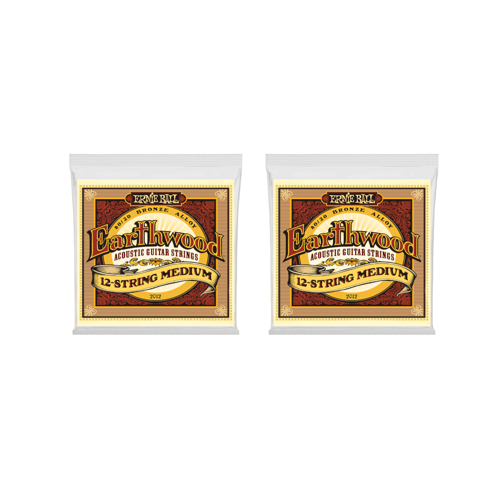 Ernie Ball Guitar Strings 2-Pack 12-String Acoustic Earthwood Medium 2012