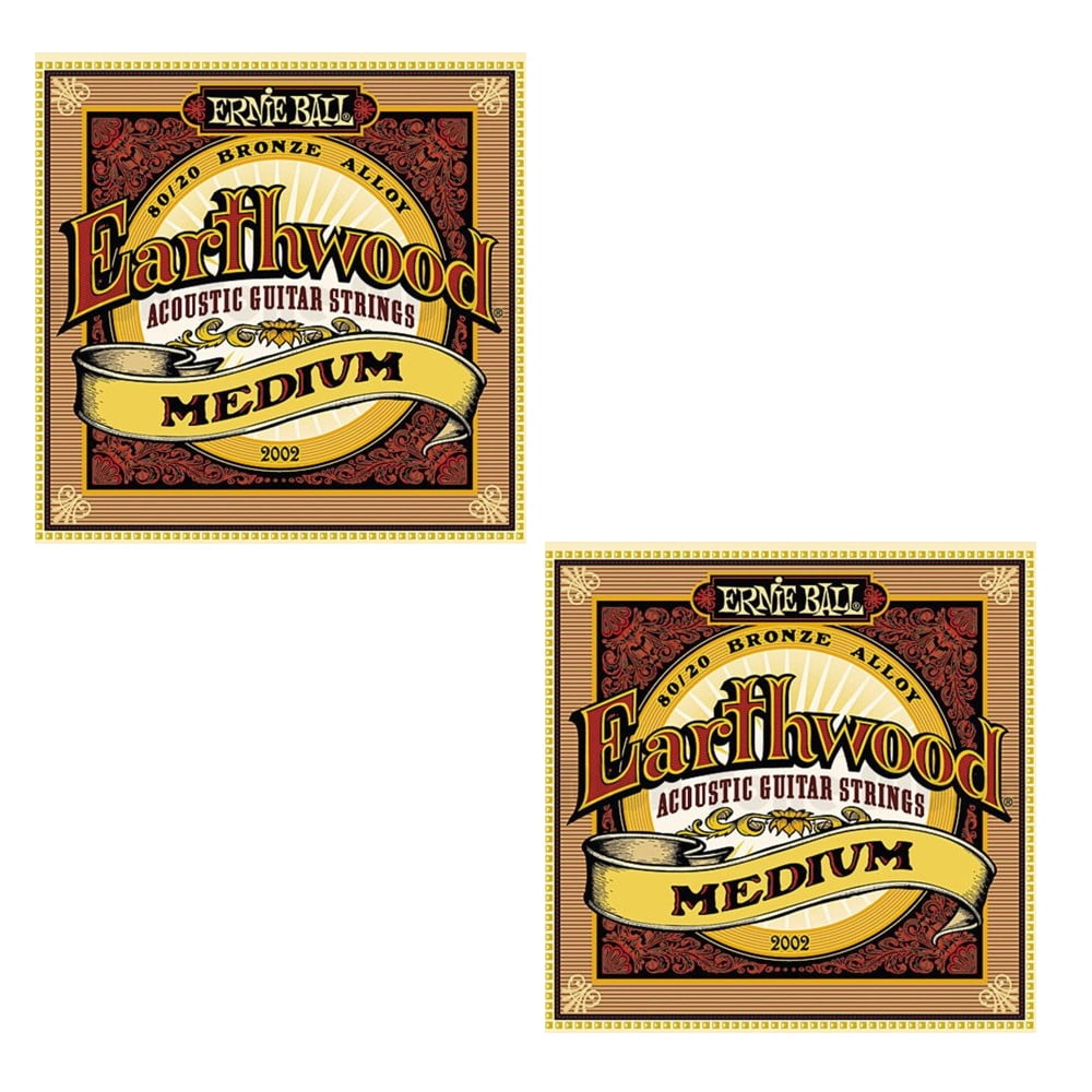 Ernie Ball Guitar Strings 2-Pack Acoustic Earthwood Medium 13-56 2002