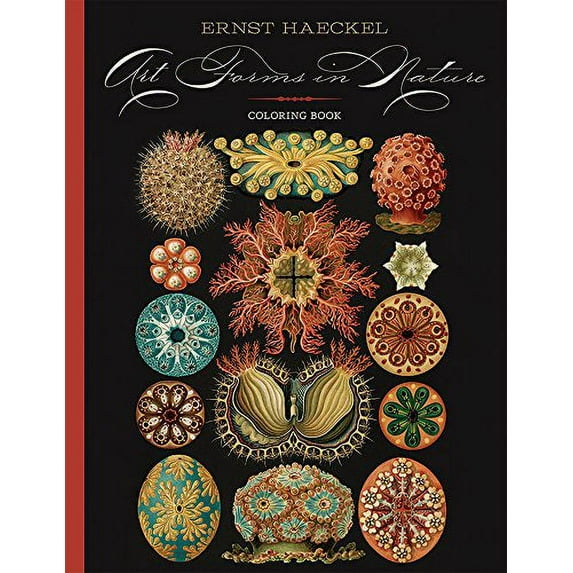 Pre-Owned CBA Haeckel/Art in Nature (Hardcover) 0764974718 9780764974717