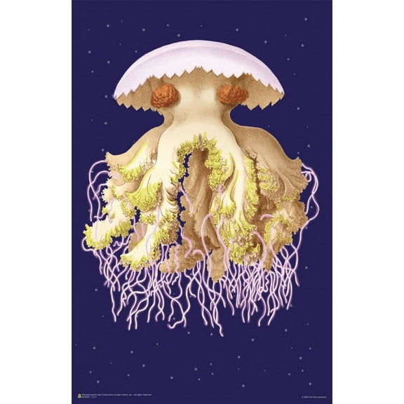 Ernst Haeckel - Astro Jellyfish Mini Poster 11" x 17"