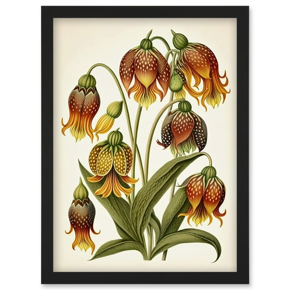 Ernst Haeckel Inspired Fritillaria Flower Plant Study Modern Watercolour Painting Illustration Artwork Framed Wall Art Print A4