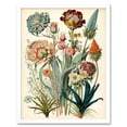 thumbnail image 1 of Ernst Haeckel Inspired Vintage Botanical Plant Study Modern Watercolour Painting Illustration Art Print Framed Poster Wall Decor 12x16 inch, 1 of 5