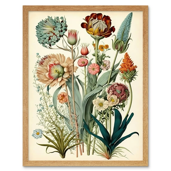 Ernst Haeckel Inspired Vintage Botanical Plant Study Modern Watercolour Painting Illustration Art Print Framed Poster Wall Decor 12x16 inch
