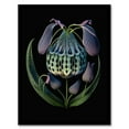 thumbnail image 1 of Ernst Haeckel Style Botanical Artwork Blue Orange Purple Plant Blooming Flowers Artwork Framed Wall Art Print A4, 1 of 5