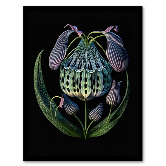 Ernst Haeckel Style Botanical Artwork Blue Orange Purple Plant Blooming Flowers Artwork Framed Wall Art Print A4