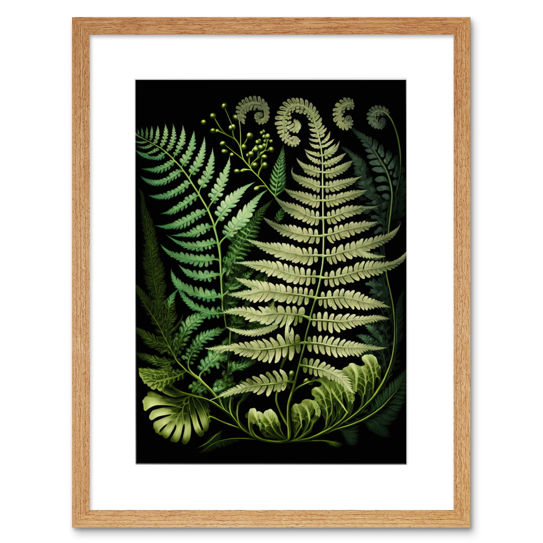 Ernst Haeckel Style Fern Fronds Illustration Artwork Framed Wall Art 