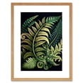 thumbnail image 1 of Ernst Haeckel Style Fern Fronds Leaf Illustration Artwork Framed Wall Art Print 9X7 Inch, 1 of 5