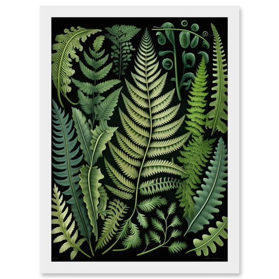 Ernst Haeckel Style Fern Fronds Leaf Illustration Artwork Framed Wall Art Print A4
