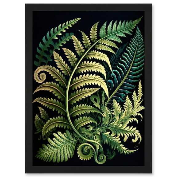 Ernst Haeckel Style Fern Fronds Leaf Illustration Artwork Framed Wall Art Print A4