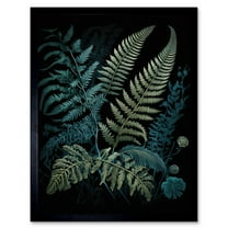 Ernst Haeckel Style Leaf Illustration Fern Fronds Art Print Framed Poster Wall Decor 12x16 inch