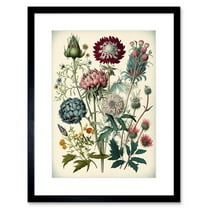 Ernst Haeckel Style Vintage Botanical Plant Study Modern Watercolour Painting Illustration Artwork Framed Wall Art Print 9X7 Inch