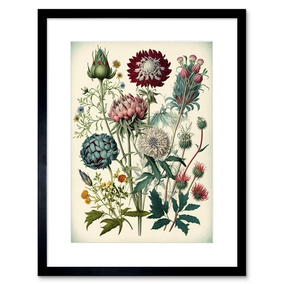 Ernst Haeckel Style Vintage Botanical Plant Study Modern Watercolour Painting Illustration Artwork Framed Wall Art Print 9X7 Inch